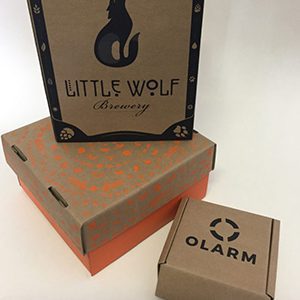 Printed shipper boxes